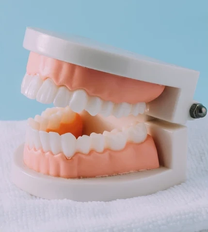 Custom dentures for complete smile restoration at Elite Dental Center in Billings, MT