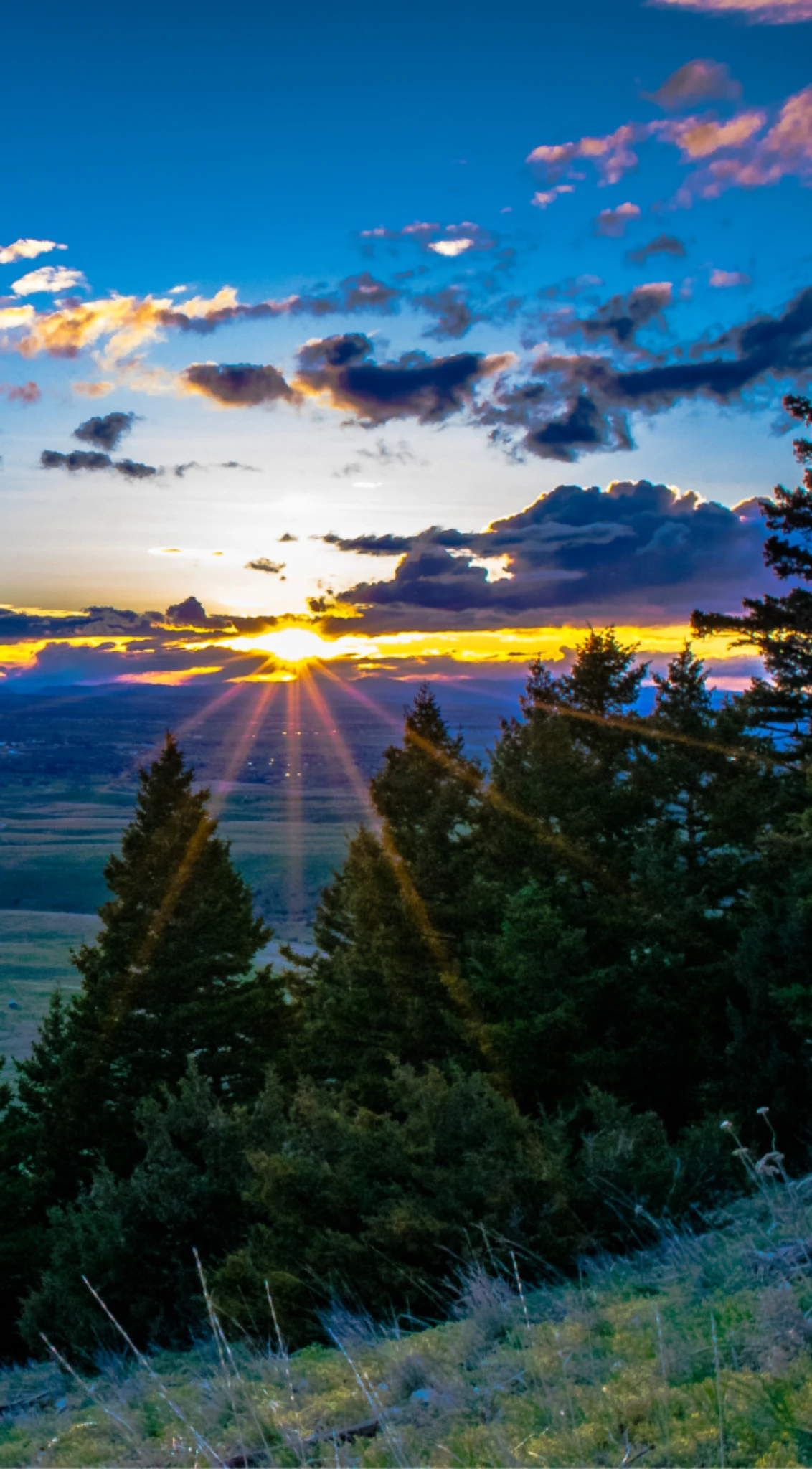 Comprehensive dental services including crowns, implants, and cosmetic dentistry in Billings, MT