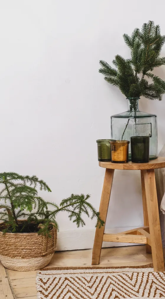 Comprehensive dental services including crowns, implants, and cosmetic dentistry in Billings, MT